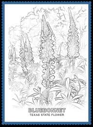 Wildflower coloring pages are a fun way for kids of all ages to develop creativity, focus, motor skills and color recognition. Coloring Pages Archives Usa Facts For Kids