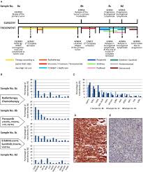 Frontiers Phospho Protein Arrays As Effective Tools For