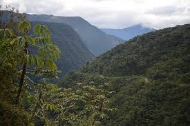 55 em junho voltou a namorar com murilo benício, e em setembro voltaram a morar juntos. Mountains Create Biodiversity University Of Gothenburg