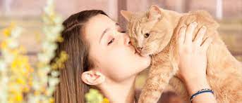  ― canberra, new leaf. Pets At Peace Pet Cremation Service Pet Crematorium Pet Burial Dog Cat Animal Cremations Sydney Blue Mountains Newcastle Central Coast Central West Macarthur Pets At Peace