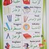 أَقُوْمُ مِنَ النَّوْمِ صَبَاحًا بَاكِراً. 1