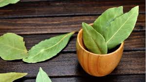 Pokok daun salam ada di jual di alisha alif enterprise facebook. Daun Salam Obat Herbal Jika Asam Urat Naik Dan Cara Membuatnya Tribun Jogja