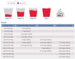 science diet vet food