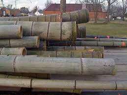 We did not find results for: Poles Bamboo Farming Usa