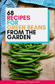How do you cook green beans from the garden. 68 Ways To Use Fresh Green Beans You Grow In Your Garden Gardening Channel Green Beans Cooking Green Beans Beans