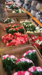 Come in and visit our 12,000 sq ft warehouse. Universal Silk Flower Home Facebook