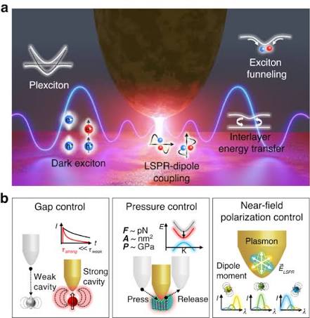 Dynamical control of nanoscale light-matter interactions in low-dimensional quantum materials | Light: Science & Applications
