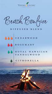 20 Essential Oils Practically Made For Summer Citronella Essential Oil Essential Oil Mixes Essential Oil Diffuser Recipes