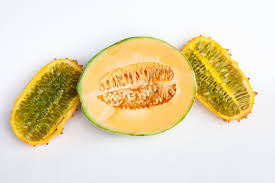 Fear Of Cantaloupes And Crumpets A Phobia Rises From The Web Phobias A Level Art Sketchbook Trypophobia