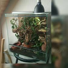 Vivarium Update Rough Green Snake Enclosure Handmade Vivarium Interior Terra Scaping Subtropical Habitat Water D Snake Enclosure Handmade Pet Green Snake