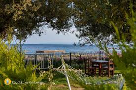 Kucukkuyu Ya Dair Her Sey 2020 Oteller Tatiller Yaya