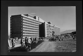 Museum of New Zealand Te Papa Tongarewa