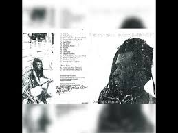 Bird On A Wire Action Bronson Lyrics Jah Tiger Mr 2 Face Youtube