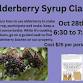 Elderberry Syrup workshop event image