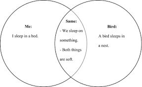 What is a diagram in reading. Reading Comprehension And Autism In The Primary General Education Classroom Reading Rockets