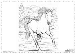 Leuke Kleurplaten Dieren Moeilijk Coloring And Drawing