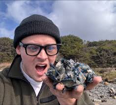 Unusual Beach Creature Sighting in Galveston