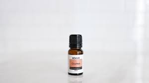 Image result for Ocotea