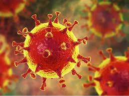 Apakah waktu solat hari ini shah alam? Kolej Tingkatan Enam Tun Fatimah Ditutup Guru Positif Covid 19