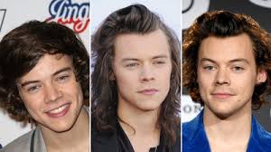 Fine hair is known by strands that have a lack of body. Every Single Harry Styles Haircut From 2011 To 2020 Photos Allure