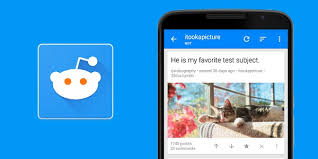 Your communities upvote and downvote posts to highlight the. Sync For Reddit Pro 10 7 45 Apk Apkmos Com