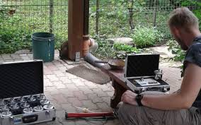 Ciocanuseară, seară albastră, cade, cade pe pământ, arde steaua noastră, arde, arde luminând! Gazul Radioactiv Despre Care AutoritÄÅ£ile Nu Vor SÄ AudÄ Pericol In Scoli Si GrÄdiniÅ£e Echivalentul A 16 Å£igÄri Pe Zi