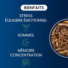 Bienfaits ashwagandha