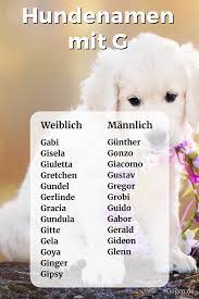 hundenamen mit g weiblich und mannlich mit bedeutung hundenamen namen fur hunde schone hundenamen