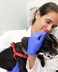 Advanced Veterinary Care Center