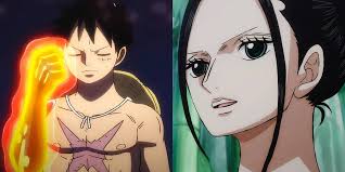 One Piece: Why Didn't Dragon Teach Robin Haki?