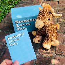 C g i let my guard down, and then you pulled the rug. Sendafriend Send A Cute Stuffed Animal Care Package Facebook