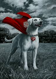 The only thing missing is you. Krypto Dc Spiderwebart Gallery