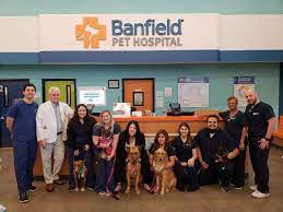 Our final grade = b. Call Banfield Pet Hospital Near Me Off 71 Www Usushimd Com