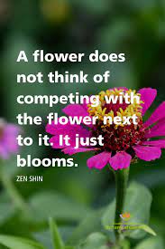 Flower Quote Flower Quotes Nature Quotes Wild Flower Quotes