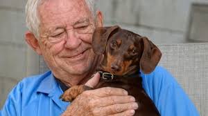 8 reasons why you should never EVER get a Dachshund