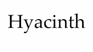 How To Pronounce Hyacinth Youtube