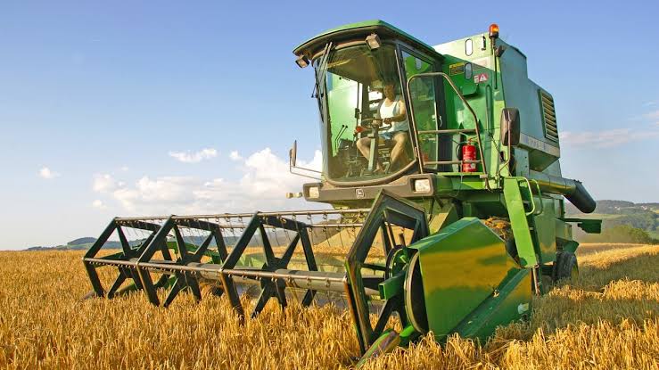 Producția de grâu a României ar putea scădea cu 2 milioane de tone față de  anul record 2025 - PS News