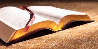 Pin On Must Read Articles