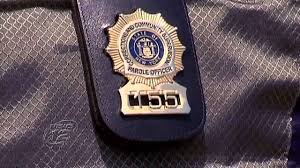 Current New York State Parole Officer Badge Badge Porsche Logo Officer