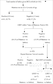 Flow Chart Showing Recruitment Of Subjects And Bcg