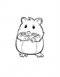 Baby Hamster Coloring Pages Tikus Belanda Halaman Mewarnai Hamster
