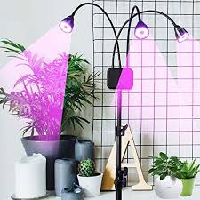 Don't worry about matching the sun or white light. The 15 Best Grow Lights For Your Plants