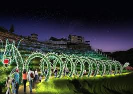 Boseong Green Tea Fields Festival Of Lights Winter Festival Time In Korea Korea Winter