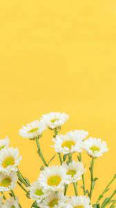 Check spelling or type a new query. Warna Kuning Wallpaper Polos Aesthetic Marivalkiria