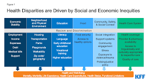 Safety information on products regulated by the fda center for veterinary medicine. Disparities In Health And Health Care 5 Key Questions And Answers Kff
