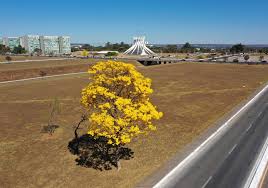 Brasília Congela! Mínima Recorde e Alerta de Seca Extrema 🥶 - Imagen principal del artículo