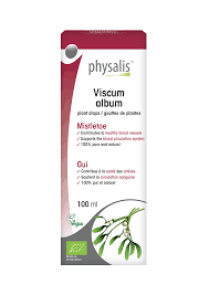 Image result for Viscum cylindricum