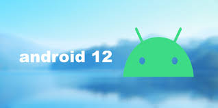 Open google's android 12 developer preview device ota files page click the file for your specific pixel smartphone, agree to the terms of service and then press the download button. Developer Preview For Android 12 Has Come Out This Is How You Download It