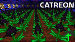 The ultimate sacred guide underworld 2.28 this topic is reserved to the guide. 225 Dragon Egg Seeds Catreon 23 Items4sacred Ger Youtube