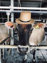 Maybe you would like to learn more about one of these? Same Lovely Farm With An Awesome New Look Miller S Bio Farm